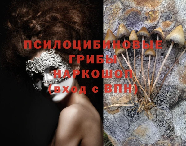 ALPHA-PVP Белокуриха