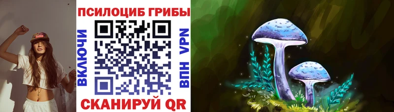 OMG как зайти  Кузнецк  Псилоцибиновые грибы мицелий  как найти закладки 