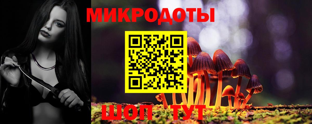 Галлюциногенные грибы прущие грибы  Вход с VPN  Кузнецк  Псилоцибиновые грибы мицелий 
